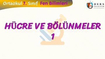 HÜCRE VE BÖLÜNMELER – 1