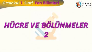 HÜCRE VE BÖLÜNMELER – 2