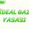 İDEAL GAZ YASASI
