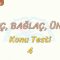 İLGEÇ – BAĞLAÇ – ÜNLEM / KONU TESTİ – 4