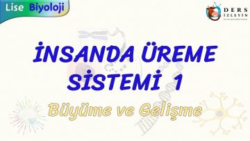 İNSANDA ÜREME SİSTEMİ – 1 / BÜYÜME VE GELİŞME