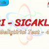 ISI – SICAKLIK / GELİŞTİRİCİ TEST – 4