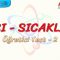 ISI – SICAKLIK / ÖĞRETİCİ TEST – 2