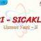 ISI – SICAKLIK / UZMAN TEST – 2