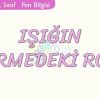 IŞIĞIN GÖRMEDEKİ ROLÜ
