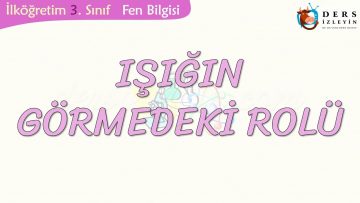 IŞIĞIN GÖRMEDEKİ ROLÜ