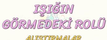 IŞIĞIN GÖRMEDEKİ ROLÜ-ALIŞTIRMALAR
