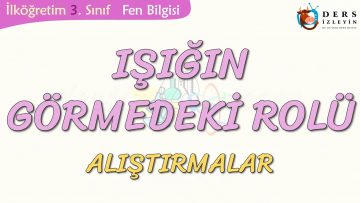 IŞIĞIN GÖRMEDEKİ ROLÜ-ALIŞTIRMALAR