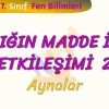IŞIĞIN MADDE İLE ETKİLEŞİMİ – 2 / AYNALAR