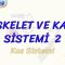 İSKELET VE KAS SİSTEMİ – 2 / KAS SİSTEMİ