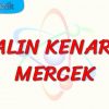 KALIN KENARLI MERCEK
