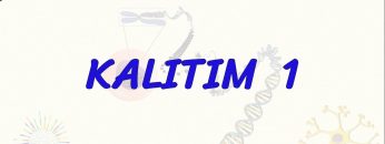 KALITIM – 1