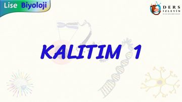 KALITIM – 1