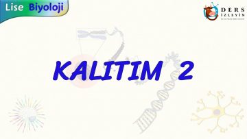 KALITIM – 2