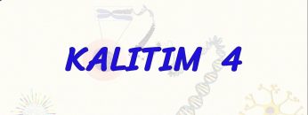 KALITIM – 4