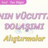 KANIN VÜCUTTAKİ DOLAŞIMI-ALIŞTIRMALAR