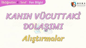 KANIN VÜCUTTAKİ DOLAŞIMI-ALIŞTIRMALAR