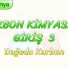 KARBON KİMYASINA GİRİŞ – 3 / DOĞADA KARBON