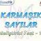 KARMAŞIK SAYILAR / GELİŞTİRİCİ TEST- 1