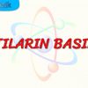KATILARIN BASINCI