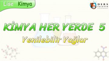 KİMYA HER YERDE – 5 / YENİLEBİLİR YAĞLAR