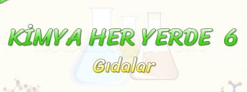 KİMYA HER YERDE – 6 / GIDALAR