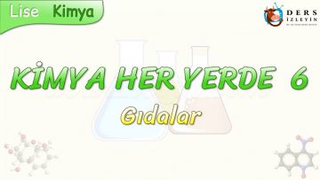 KİMYA HER YERDE – 6 / GIDALAR
