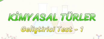 KİMYASAL TÜRLER / GELİŞTİRİCİ TEST – 1