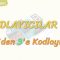 KODLAYICILAR-2 / 8DEN 3E KODLAYICI