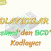 KODLAYICILAR-4 / DESİMALDEN BCDYE KODLAYICI