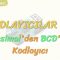 KODLAYICILAR-4 / DESİMALDEN BCDYE KODLAYICI