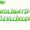 KOLİGATİF ÖZELLİKLER