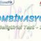KOMBİNASYON / GELİŞTİRİCİ TEST – 2