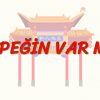 KÖPEĞİN VAR MI? (ÇİNCE) 87. DERS