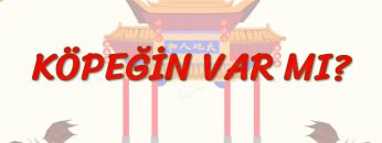 KÖPEĞİN VAR MI? (ÇİNCE) 87. DERS