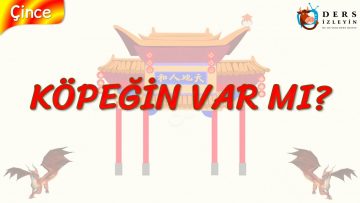 KÖPEĞİN VAR MI? (ÇİNCE) 87. DERS