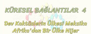 KÜRESEL BAĞLANTILAR – 4 / MEKSİKA  – NİJER