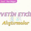 KUVVETİN ETKİLERİ-ALIŞTIRMALAR