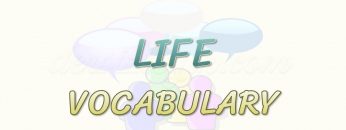 LIFE / VOCABULARY