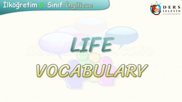 LIFE / VOCABULARY