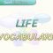 LIFE / VOCABULARY