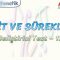 LİMİT VE SÜREKLİLİK / GELİŞTİRİCİ TEST – 12