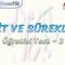 LİMİT VE SÜREKLİLİK / ÖĞRETİCİ TEST – 3