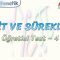 LİMİT VE SÜREKLİLİK / ÖĞRETİCİ TEST – 4