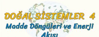 MADDE DÖNGÜLERİ VE ENERJİ AKIŞI (DOĞAL SİSTEMLER – 4) (AYT)