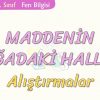 MADDENİN DOĞADAKİ HALLERİ-ALIŞTIRMALAR