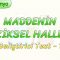 MADDENİN FİZİKSEL HALLERİ / GELİŞTİRİCİ TEST -1