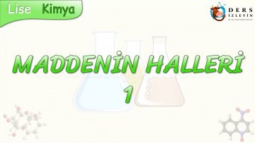 MADDENİN HALLERİ – 1