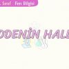MADDENİN HALLERİ