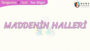 MADDENİN HALLERİ